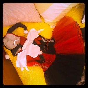 Harlequin costume
